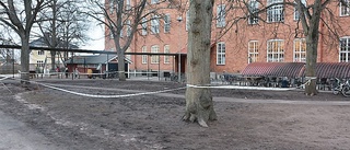 Rena lervällingen på skolgården