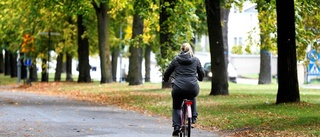 Han straffas för köttyxan i promenaden