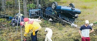 Våldsam dikeskörning