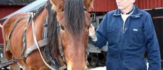 Ronja blir snart tv-kändis