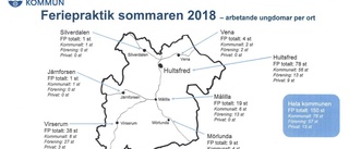 Lyckad satsning på feriejobb