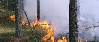 Fortsatt hög brandrisk