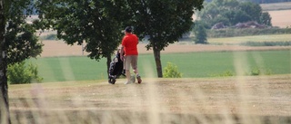 Så påverkas golfbanorna av torkan