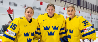 Holm: ”Märks att vi är i ett hockeytokigt land”