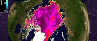 Klimatförnekarna stårutan egen förklaring