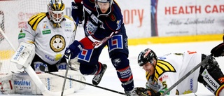 SHL-meriterad back till Hästen