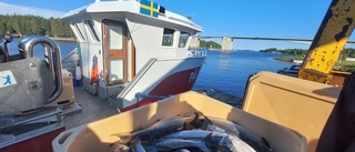 Läsarbild: Fiskebåten i Luleå 