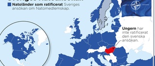 Ungern röstar om Nato på måndag