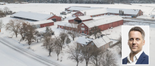 Så går försäljningen av Frindarve – utländskt intresse