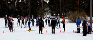 Premiär för VOK:s första skidmarathon