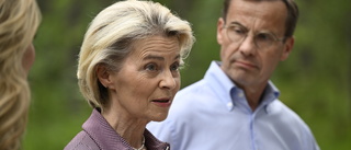 Sverige lutar åt von der Leyen – V och SD emot