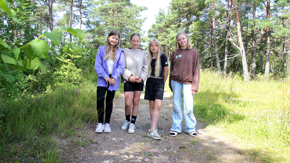 Under helgen bjöd friluftsfrämjandet in både vuxna och barn att delta under tvådagarsövningen "Nedsläckt hus" vid VOK-stugan strax utanför Visby. 