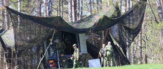 Rekordmånga Vimmerbybor kallas till mönstring