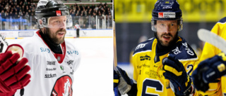 Bekräftat: Vita Hästen-ikonen får sin SHL-chans som 38-åring