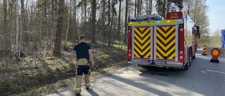 Markbränder släcktes på Dunteberget