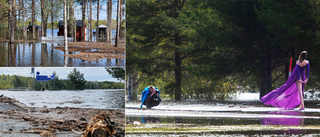 Norrbotten kan andas ut – nu sjunker vattnet i de stora älvarna