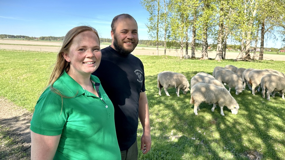 För unga bönderna Lovisa Grandin och Gustaf Björkling i Rasbokil är EU en nödvändighet för att kunna leva sin dröm. "För oss är EU-valet viktigare än riksdagsvalet."
