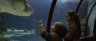 Ta med familjen till Tropicarium – ”Kom ännu närmare djuren”