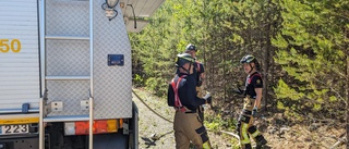 Hundägare upptäckte skogsbrand