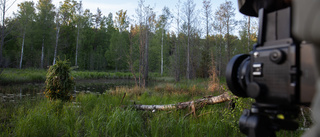 Mitt i naturen – Rejmyrebor del av stor fotoutställning