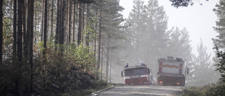 Räddningsledare: "Skulle önska ett rejält regn"