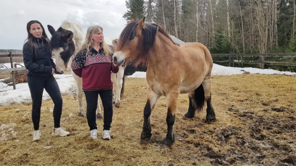 Efter att ha nekats uppkörning på grund av trasigt hyrsläp, har nu Jenny Lindmark och Elisabeth Lindmark fått ersättning av OKQ8 samt klarat uppkörningen. (Arkivbild)