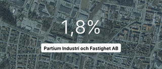 Omsättningen tar fart för Partium Industri och Fastighet AB - men resultatet sjunker