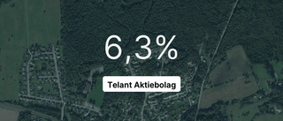 Omsättningen tar fart för Telant Aktiebolag - steg med 25,8 procent