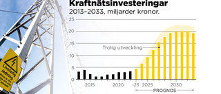 Ny tioårsplan: Extrema mängder ny kraft behövs