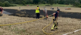 Räddningstjänsten släckte gräsbrand utanför Tingstad