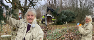 Hon har skänkt en riktig "Disneygran" till Ugglans park