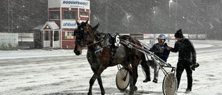 Skellefteå-amatören vann dubbelt i V65 på Bodentravet