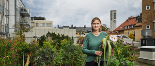 MDH-forskare om maten: Så minskar du cancerrisken