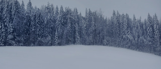 Skoterförare fast hela natten utanför Luleå