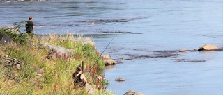 Fler köper fiskekort – kassaklirr för fiskeförening