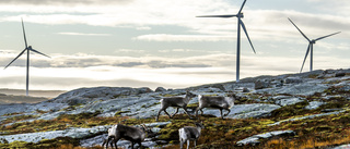 Vindkraften får människor att lämna sina hem