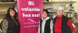 Butikschefen: "Vi har fått jobba hårt"