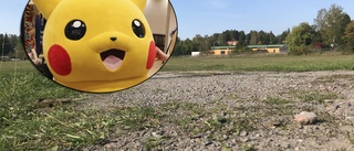 Rörvallen försvann – lever kvar i Pokémon go