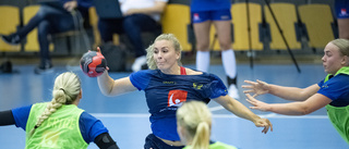 Danska handbollsbasen pessimistisk om EM