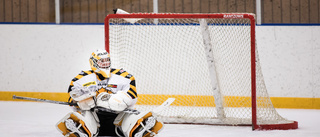 Klart: Ishockeyn i länet pausas – i minst fyra veckor