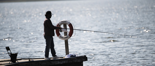 Dialog i fiskestrategi         