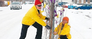 Gamleby pyntas till påsk