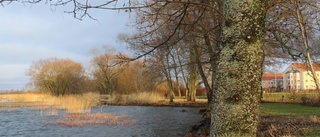 Vadstena kan göra som i Ljungby