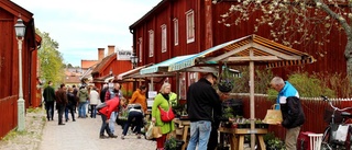 Här är länets populäraste museer