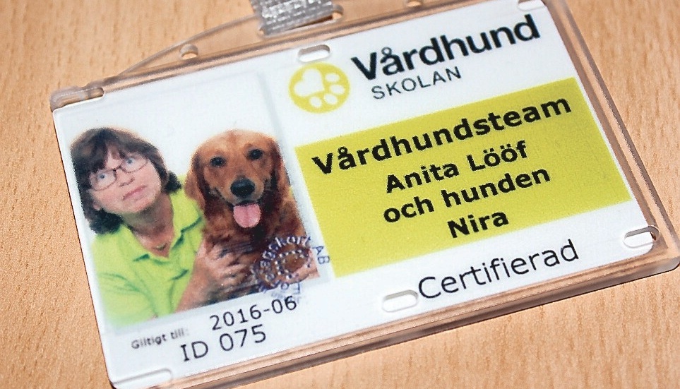 Anita Lööf och Nira är ett certifierat vårdhundsteam.