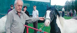 Ulrika marknad med stora och små djur