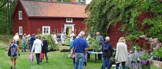 Växter och historia ska locka