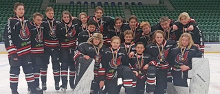 Nyköpings Hockey Ungdom vann U15-DM