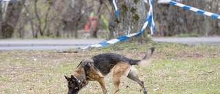 Polisen: Därför fick hunden bita misstänkt