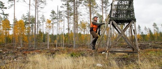 På måndag smäller det – älgjakten börjar